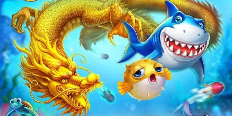 Tập vào các loại cá lớn