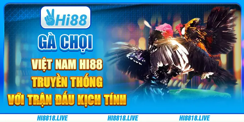 Gà chọi việt nam hi88 - truyền thống với trận đấu kịch tính