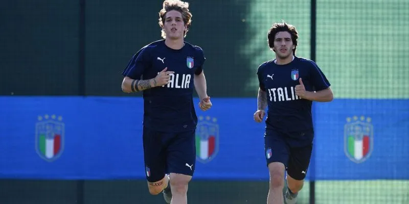 Cá cược Serie A Italia - hướng dẫn soi kèo chuẩn tại hi88 3 Phân tích kỹ phong độ và đội hình để đưa ra nhận định chính xác.