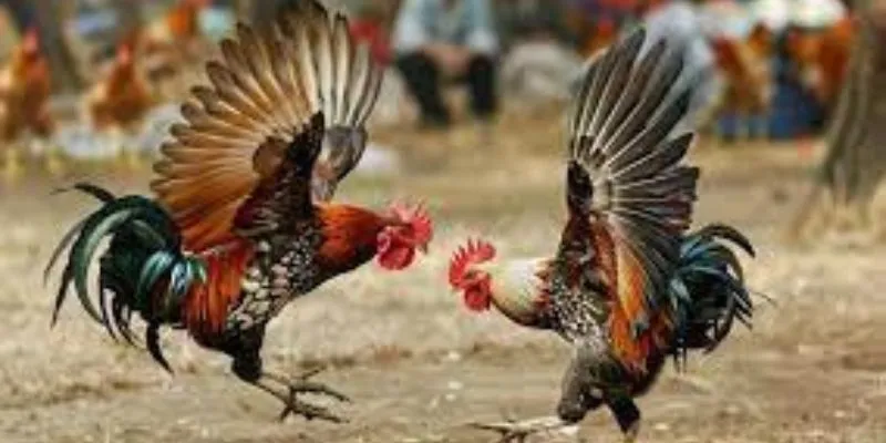 Quản lý vốn hiệu quả là yếu tố quan trọng giúp bạn đạt được thành công lâu dài.