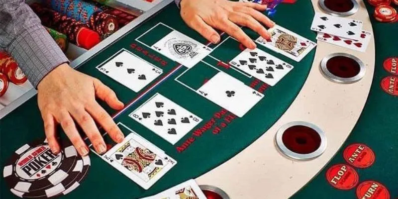 Sự linh hoạt và khả năng thích nghi
