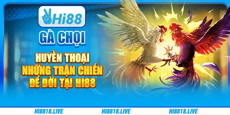 Gà Chọi Huyền Thoại - Những Trận Chiến Để Đời tại Hi88