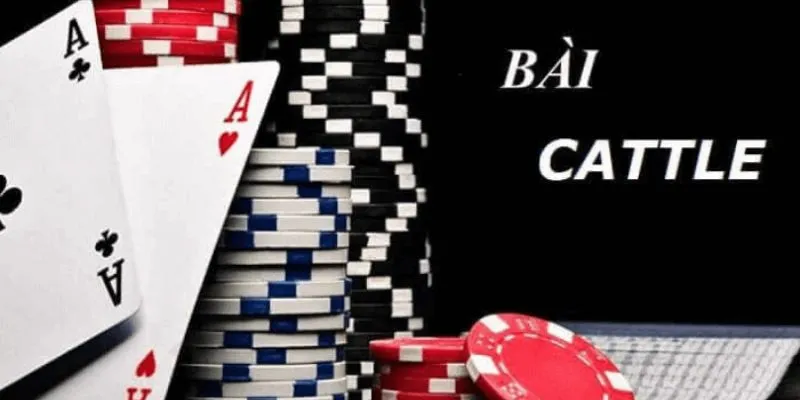 Bài Catte - Cách Chơi Và Mẹo Chơi Luôn Thắng Tại Hi88 2 Bài catte gắn liền văn hóa bài truyền thống