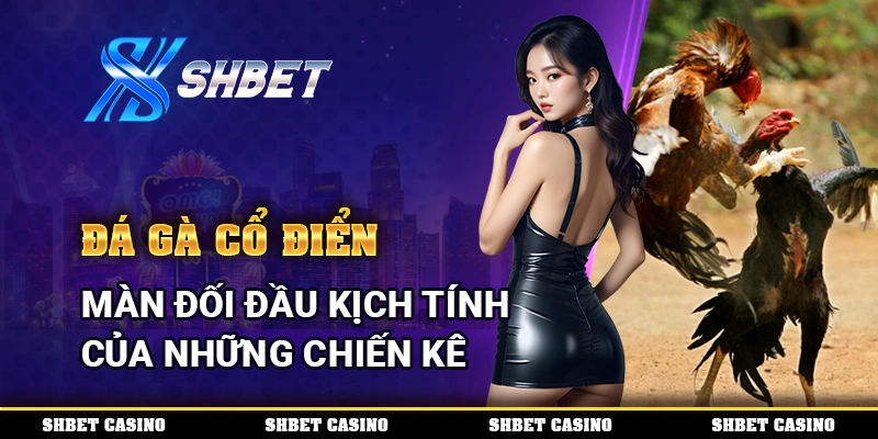 Đá Gà Cổ Điển