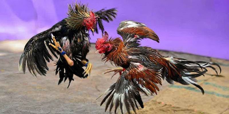 Tham khao kinh nghiệm từ cao thủ