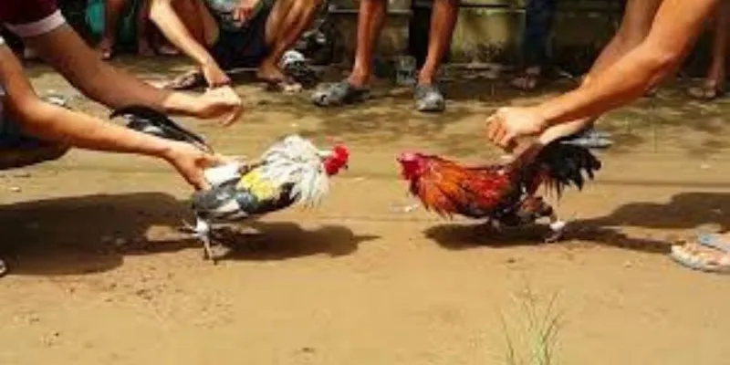 Lựa chọn thời điểm đặt cược hợp lý giúp tối ưu lợi nhuận.