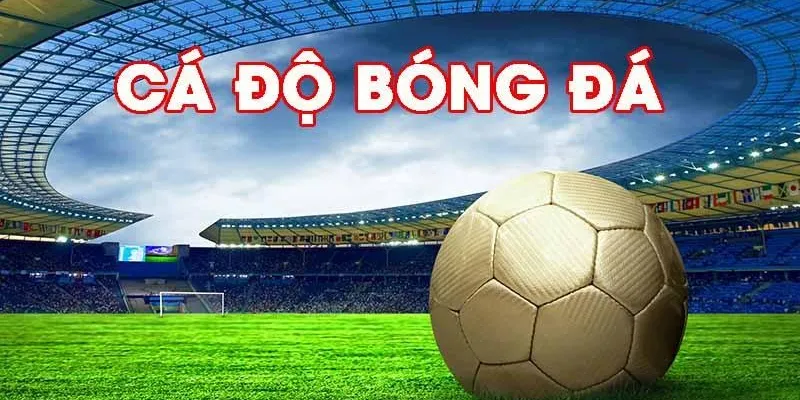 Ưu điểm khi chơi cá độ bóng đá tại nhà cái đáng tin cậy Hi88